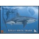 1/18 The Great White Shark w/Cage and Diver (w/2 Heads)