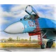 1/48 Ladder for Sukhoi Su-27 (Plastic Injected kit)