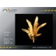 1/700 Photo-Etched Basho Tree Leaves