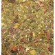 Ground Detailed Scatter for Groundwork- Autumn Forest (80ml)