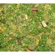 Ground Detailed Scatter for Groundwork- Green Forest (80ml)