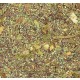 Ground Detailed Scatter for Groundwork- Bombed Forest (80ml)