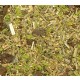 Ground Detailed Scatter for Groundwork- Wild Pasture (80ml)