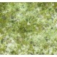 Ground Detailed Scatter for Groundwork- Frosty Meadow (80ml)
