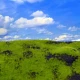 Landscape Mat - Wild Grass and Hills Type 4 (Size: approx. 20 x 30cm, thick: 1cm)