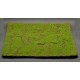 Landscape Mat - Wild Grass Type 1 XXL (Size: approx. 30 x 40cm)