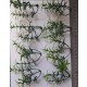 1/35 - 1/16 Plastic Plants - Small Weeds Medium/Light Green
