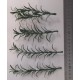 1/35 - 1/16 Plastic Plants - Small Weeds Dark Green