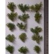 1/35 - 1/16 Plastic Plants - Wild Bushes Medium/Dark Green (15pcs)