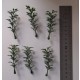 1/35 - 1/16 Plastic Plants - Tall Bushes Dark Spring Green (6pcs)