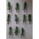 1/35 - 1/16 Plastic Plants - Tall Bushes Faded Green (10pcs)