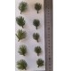 1/35 - 1/16 Plastic Plants - Desert Bushes Dark Green (5 small & 5 large)