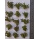 1/35 - 1/16 Plastic Plants - Desert Bushes Light Green (15pcs)