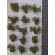 1/35 - 1/16 Plastic Plants - Desert Bushes Light Green (15pcs)