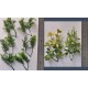 1/35 - 1/16 Plastic Plants - Jungle Plant Set #1 (10pcs, 2 types)