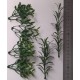 1/35 - 1/16 Plastic Plants - Jungle Plant Set #4 (7pcs, 2 types)