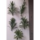 1/35 - 1/16 Plastic Plants - Large Jungle Plant #1 (5pcs)