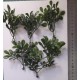 1/35 - 1/16 Plastic Plants - Large Jungle Plant #2 (5pcs)