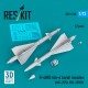 1/72 R-40RD (AA-6 Acrid) Missiles (2pcs) for MiG-25PD, MiG-25PDS