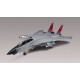1/48 Grumman F-14D Super Tomcat