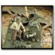 1/35 WWII M3A3 Stuart Crew