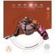 1/10 Heroes of Fallen Frontiers Shilas Fenn Resin Bust
