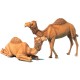 1/35 Camel Set (2pcs)