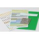 1/20 F1 Harness Basic Version - Green