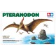 1/35 Pteranodon Dinosaur/Pterosaur