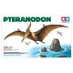 1/35 Pteranodon Dinosaur/Pterosaur