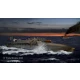 1/144 MAS 15 Torpedo Boat (12 t SVAN series) 1916 with Crew