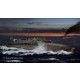 1/144 MAS 15 Torpedo Boat (12 t SVAN series) 1916