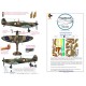 1/24 Spitfire I-V Pattern B Camo Masks