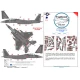 1/48 F-15B/D McDonnell Douglas Camo Masks