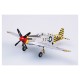 1/72 P-51D Mustang RAAF A68-170 in 1999