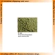 Pigment - Fades Olive Green 30ml