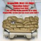1/35 WWII Sherman M4A1 "Operation Cobra" Sandbag Front Set 2 for Dragon/DML #6083 kit