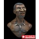 1/9 Bushman (1 Resin Bust)