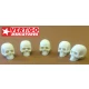 1/15 (120mm) Skulls (5 Resin Skulls)