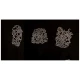 Airbrush Flexible Stencils Small set (9 x 5cm, 8 x 7cm, 9 x 8cm)