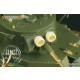 1/35 Russian BT-7 Night Fighting Lens for Tamiya kit #35309