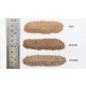 Buff Ballast #Coarse w/Shaker Bottle (coverage area: 57.7 in3 / 945 cm3)