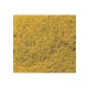 Ground Cover - Flowering Foliage #Yellow (coverage area = 72 in2 / 464 cm2)