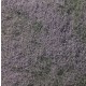 Ground Cover - Flowering Foliage #Purple (coverage area = 72 in2 / 464 cm2)