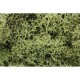 Ground Cover - Lichen #Spring Green (coverage area = 86.6 in3 / 1410cm3)
