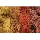 Ground Cover - Lichen #Autumn Mix (coverage area = 86.6 in3 / 1410cm3)