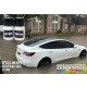 Tesla Paint - Model 3 Water White (2x 30ml)